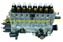 BP6813 BHT8P9150R6805A Longbeng fuel injection pump for Zichai Z8170ZLC