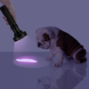 21 LED UV Flashlight black light for scorpion, pet urine or money detector
