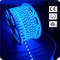 High Voltage SMD5050 60led/m LED Strip Light
