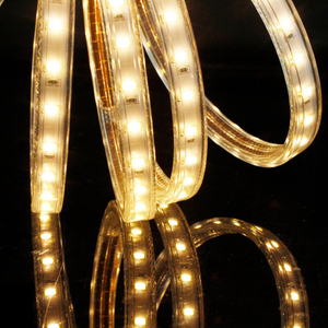 High Voltage SMD5630 60led/m LED Strip Light