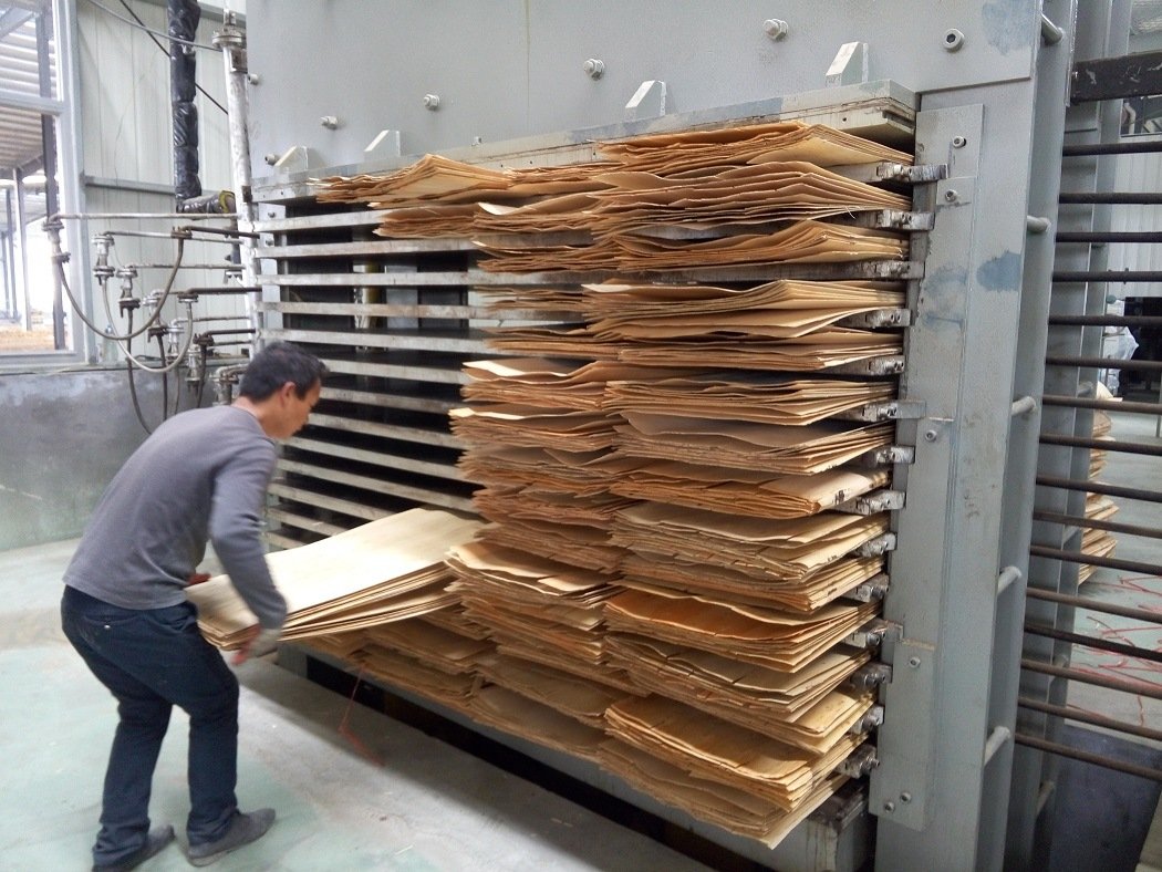 Operate Flexibly and Outstanding Durability Breathe Type Veneer Dryer