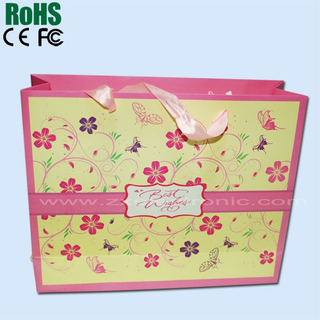 Music sound module bags for promotional package