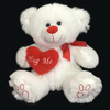 Huge Me Teddy Bears Holds Heart with Love Paw