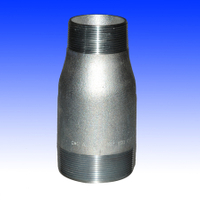 Npt Threaded Concentric Swage Nipple (YZF-P39)