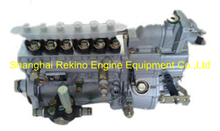 BP20028 612601080779 Longbeng fuel injection pump for Weichai WP10D264E200