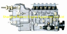 BP6613A 616067130001 Longbeng fuel injection pump for Weichai R6160ZC250-1