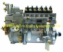 BP1251 13026130 Longbeng fuel injection pump for Weichai WP6D158E201