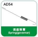 Spring(governor)
