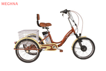 24TR001E TRICYCLE WITH CARGO