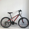 X2 24 mountain bicycle