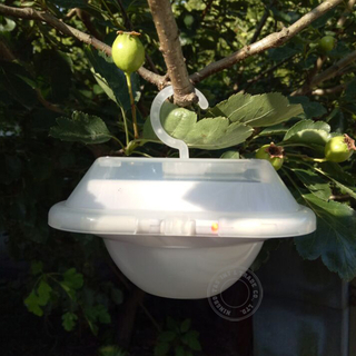 Solar powered LED camping light reading light