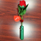Romantic sound music led rose flower light for Valentine's/birthday/Wedding anniversary gift