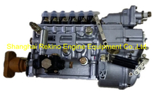 BP5B04 612600081264 Longbeng fuel injection pump for Weichai WD615