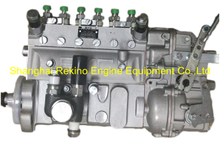 13021363 10402376075 BYC fuel injection pump for Weichai TBD226B-6 (WP6D)