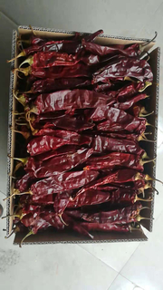 Bulk Whole Dried Paprika Pods with Stem for Food Industry