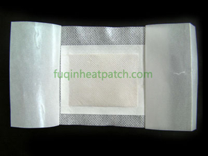 2 in 1 Detox Foot Patch