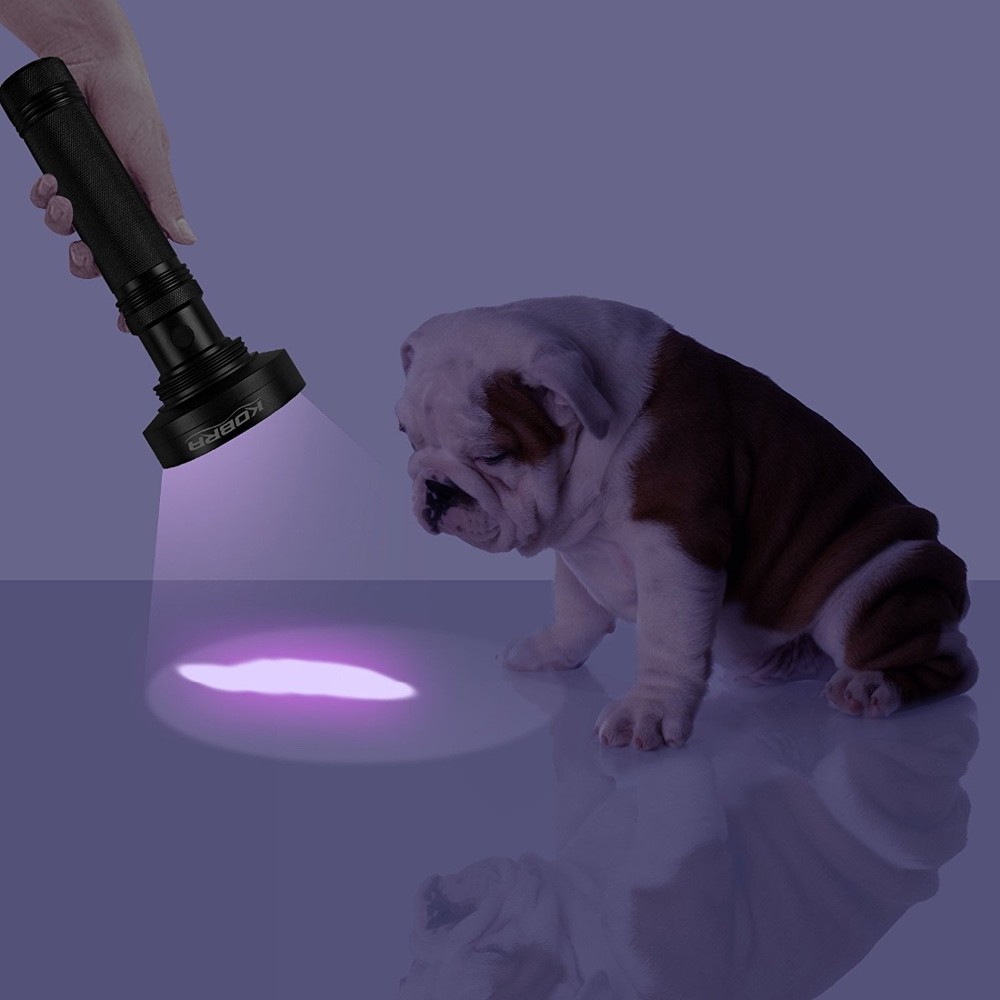 100 LED UV Flashlight black light with rubber coated grip for money detector, scorpion or pet urine 