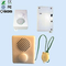 Customized phrase sound modules voice recordable for doll and toy