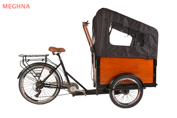 Cargo 1.0_1 tricycle with front cargo