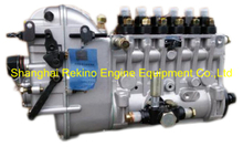 BP6640 616067080000 Longbeng fuel injection pump for Weichai 6160