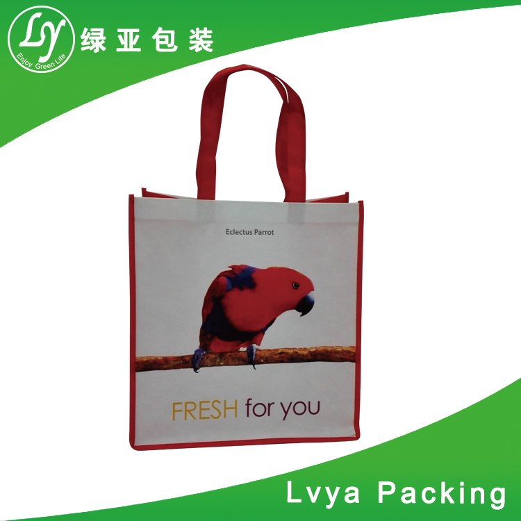 lamination non woven bag gridding shopping bag/Eco reusable colorful foldable non woven bag
