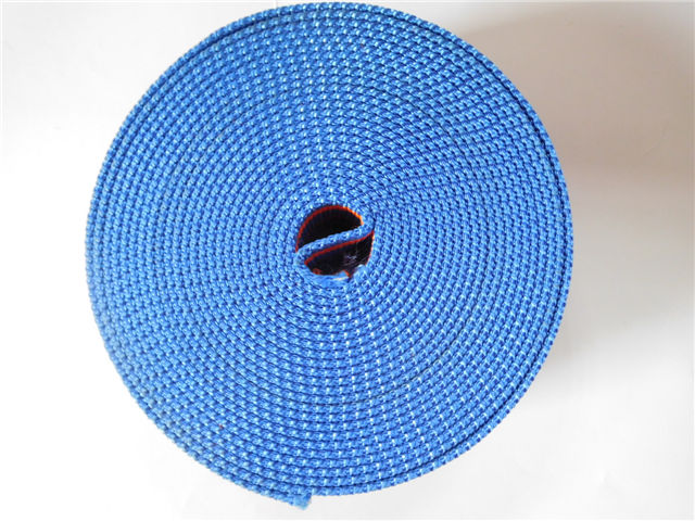 High strong pulling force polyester webbing for industry