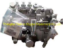 13022387 B3A501 NYC Nanyue Weichai fuel injection pump for 226B