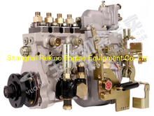 D10LD-1111100A-493R B4PN98N 1FQJ00-1111100-493 NYC Nanyue Yuchai fuel injection pump