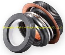 N.28.300 Mechanism seal Ningdong engine parts for N160 N6160 N8160