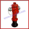 SS100 Fire Hydrant