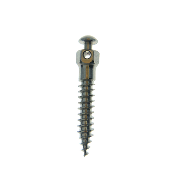 Micro screw Titanium alloy
