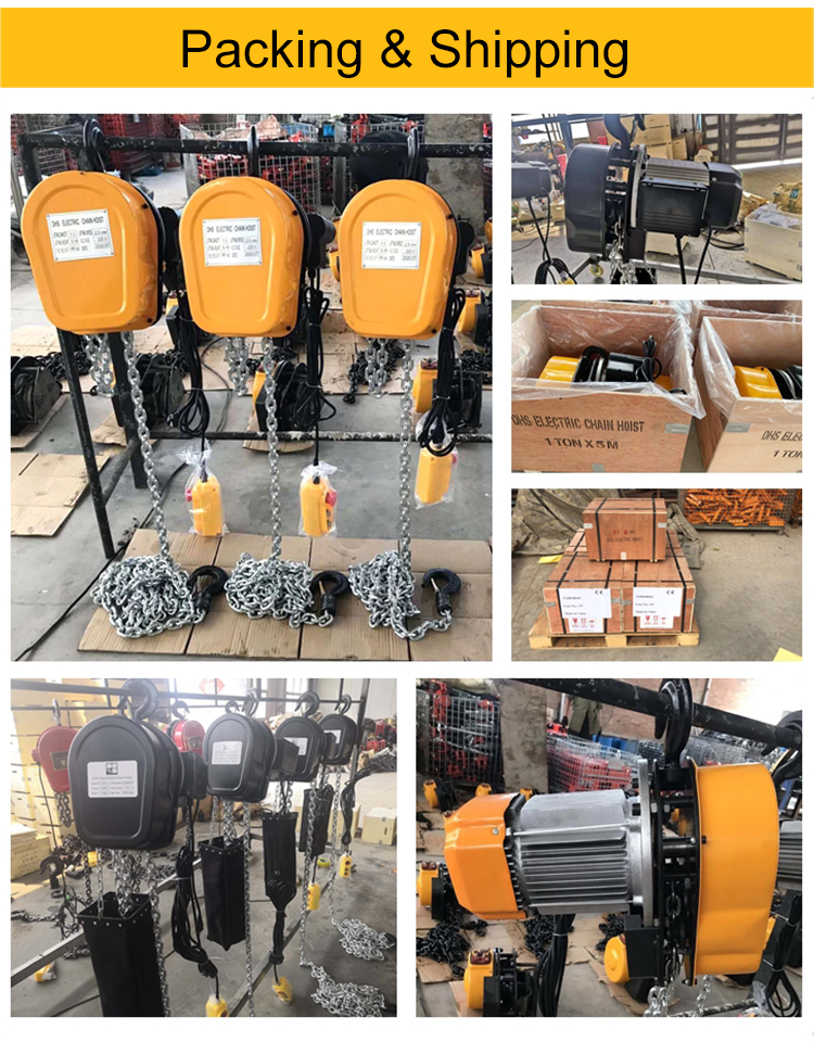 Large Stock High Quality Dhs Single Speed 1ton 3t 10t Electric Chain Hoist DHS Type Crane