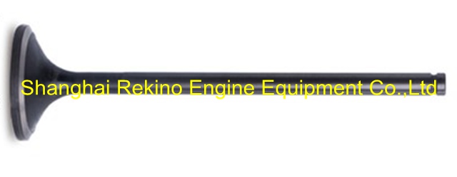 170Z.03.22A Exhaust valve Weichai engine parts 6170 8170 170