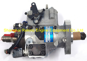 DB4429-6253 STANADYNE fuel injection pump