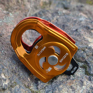 Double pulley