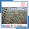 China Mattress Manufacturer Factory Hot Sale Rolled Foam Mattress