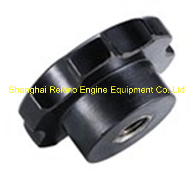 N.01.034B Cover screw Ningdong engine parts for N160 N6160 N8160
