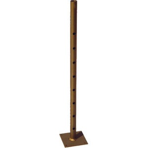 Placa base de extensión