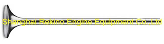 320.01.11H Exhaust valve Guangchai marine engine parts 320