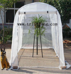 Greenhouse, Garden Shed, Garden Tool (TSU-162g)