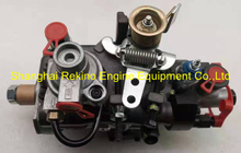 9520L17779 RE572111 Delphi John Deere Fuel injection pump
