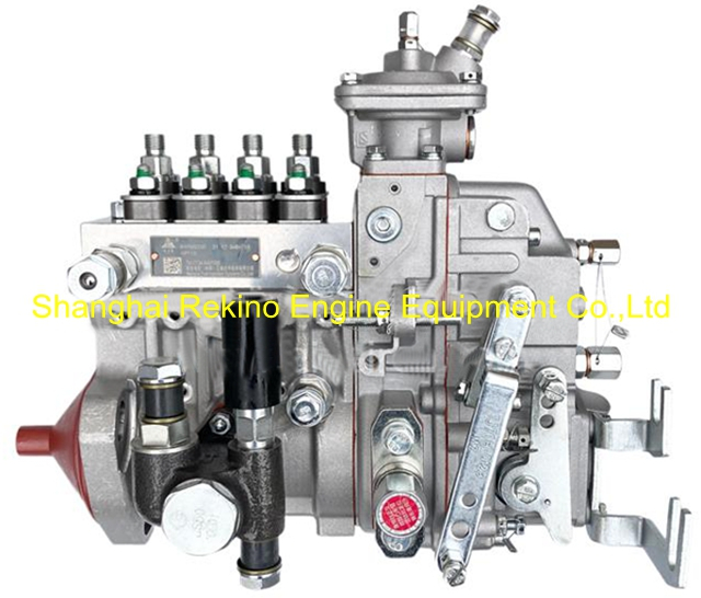 1TG3011111100493 B4PM921D NYC Nanyue Yuchai fuel injection pump Buy