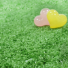 Commercial Use Show Case Artificial grass