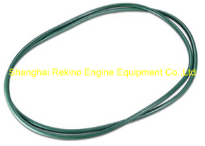 230.110.03 Seal ring Guangchai engine parts 230