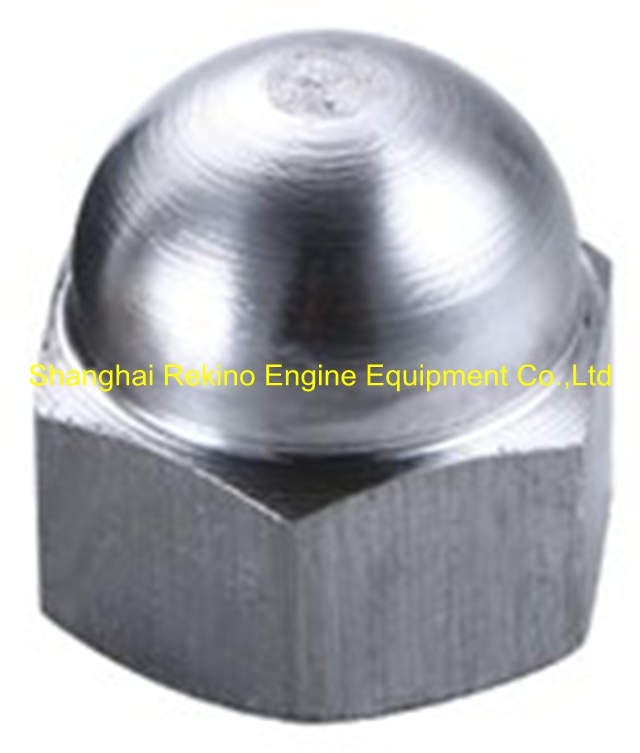 N.58.14 nut Ningdong engine parts for N160 N6160 N8160
