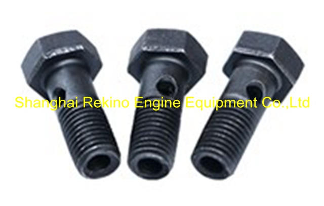 170Z.23.03 screw Weichai engine parts 6170 8170 170Z