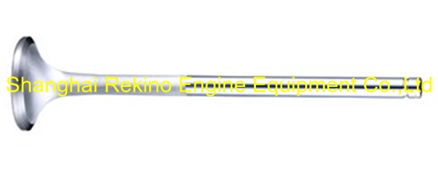 230.115.01H1 Exhaust valve Guangchai marine engine parts 230
