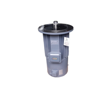 Dual Speed Hoist Lift Motor 