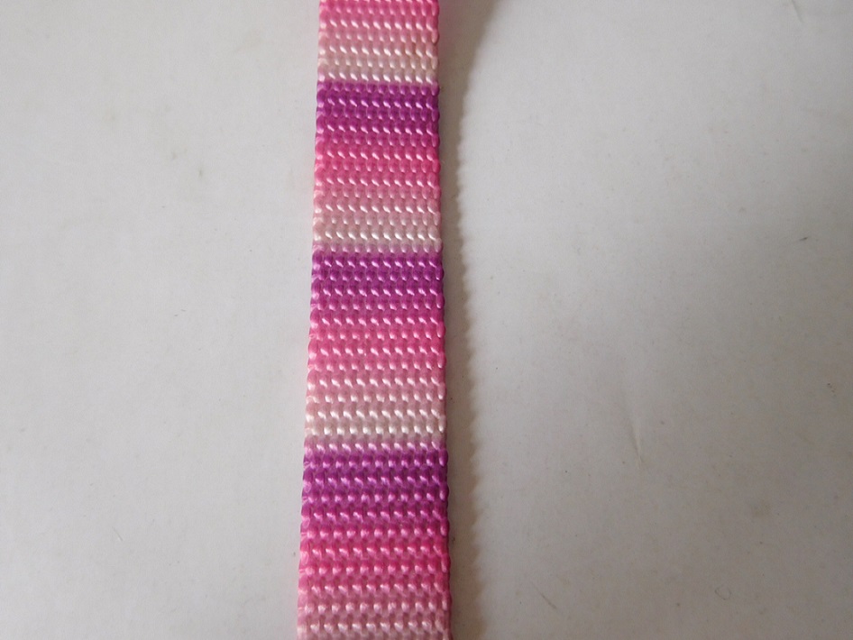 China Nylon webbing with thermal transfer printing for dog belt