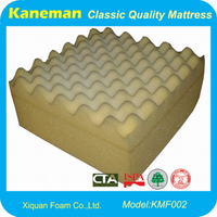 Egg Foam (KMF002)